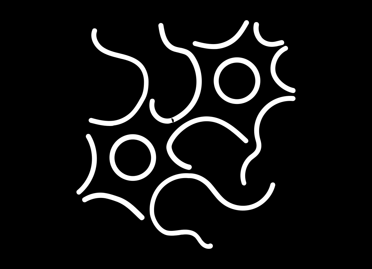Brain Codex Logo